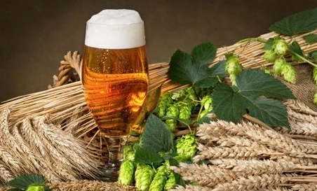 精釀啤酒中，如何選擇恰當(dāng)?shù)慕湻椒ǎ?> </a>
    </dt> 
    <dd> 
     <h4><a href=