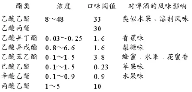 精釀啤酒設(shè)備,啤酒廠設(shè)備,開辦啤酒廠,發(fā)酵，錐形罐